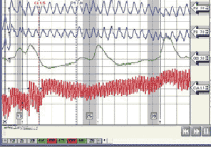 Fontana polygraph examiner